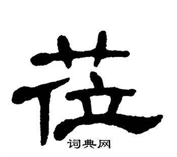 单晓天写的莅