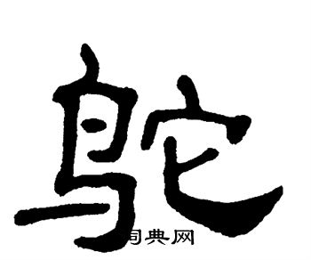单晓天写的鸵