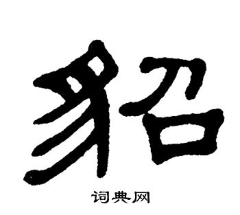 单晓天写的貂