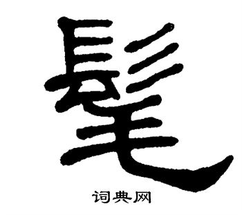 单晓天写的髦