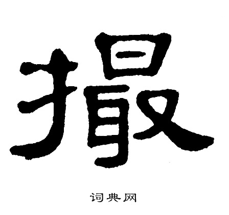 单晓天写的撮
