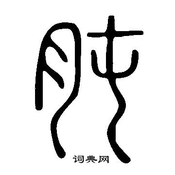 说文解字写的肫