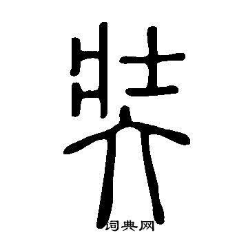 说文解字写的奘