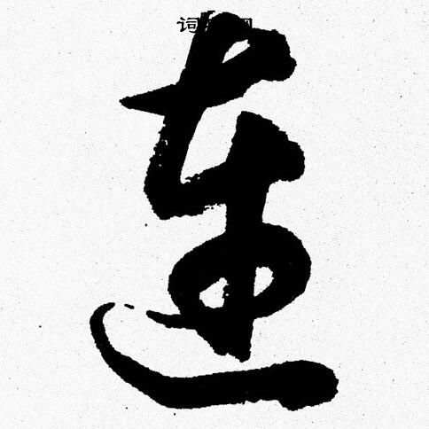 胡问遂写的连