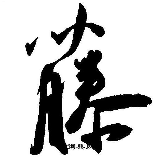 王宠写的藤
