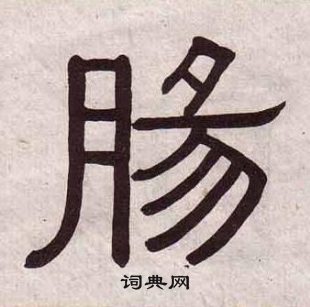 黄葆戉千字文中腸的写法