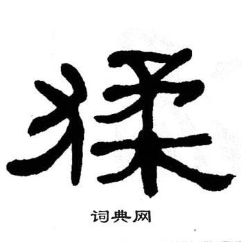 单晓天写的猱