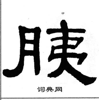单晓天写的胰