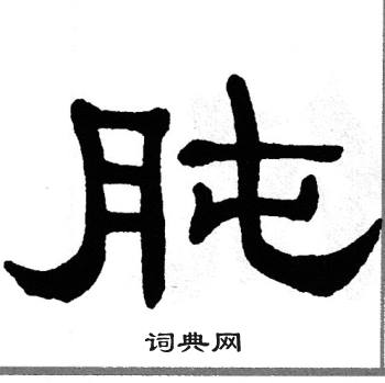 单晓天写的肫