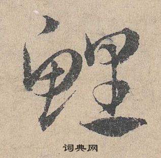 邓文原临皇象急就章中鯉的写法