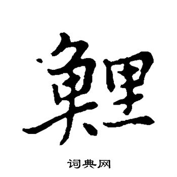 张雨写的鲤