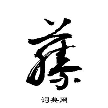 敬世江写的藤