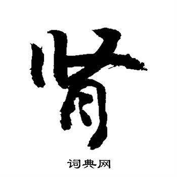 敬世江写的肾
