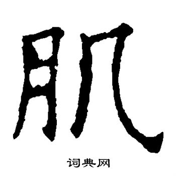 欧阳询写的肌