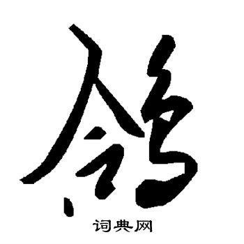鸽