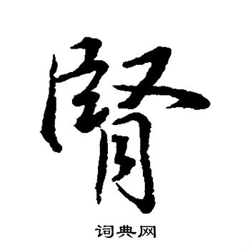 水岛修三写的肾