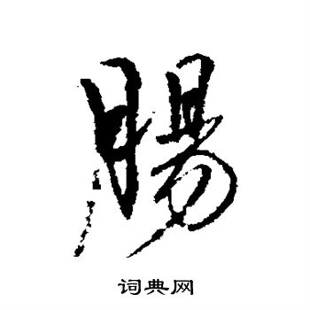 近人写的肠