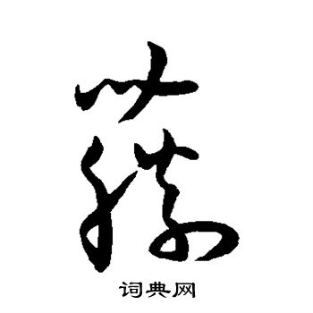 王宠写的藤