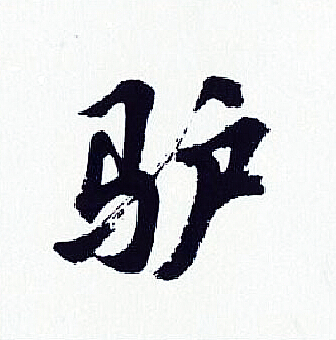 胡问遂写的驴