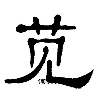 单晓天写的苋