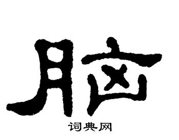 单晓天写的脑