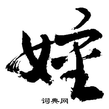 敬世江写的婶