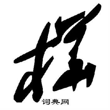 桦