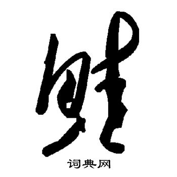 鲑