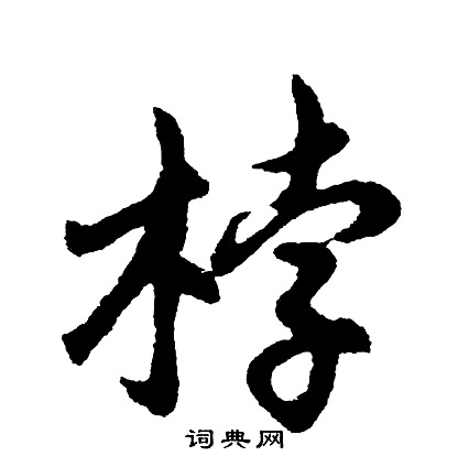 胡问遂写的桲