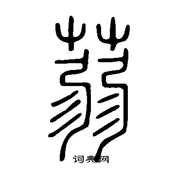 说文解字写的蒻