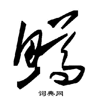 鱒