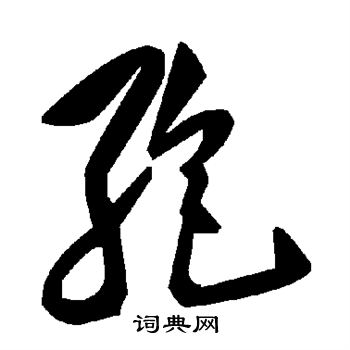 孢