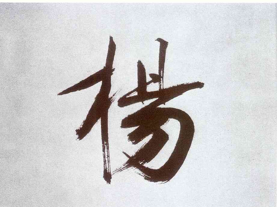 杨,張即之,書法字典