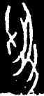 受,屯 2093,書法字典