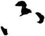 只,祝允明,書法字典