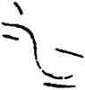 水,信阳楚簡,書法字典