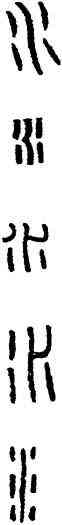 水,漢印,書法字典