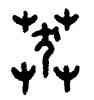 莽,王禔,書法字典