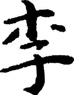 李,祝允明,書法字典