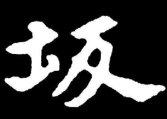 坂,張黑女墓誌 ,書法字典