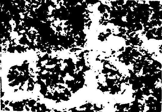 吐,鄭道昭 ,書法字典