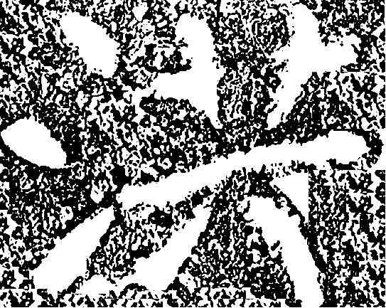 洪,瘞鶴銘 ,書法字典