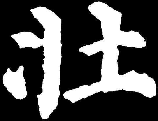 壯,顏真卿 ,書法字典