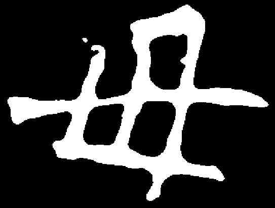母,元湛妃墓誌 ,書法字典
