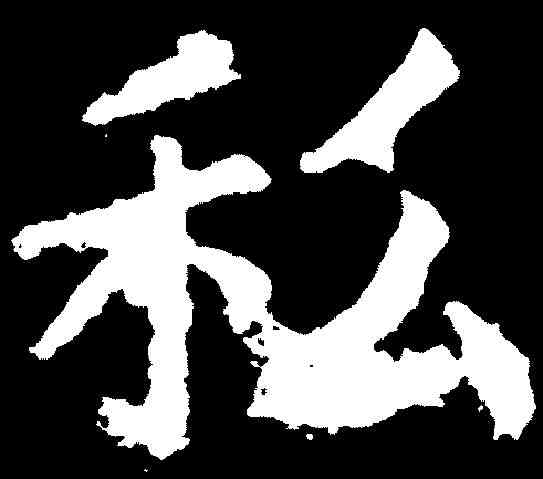 私,顏真聊 ,書法字典