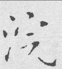 浣,陶弘景 ,書法字典