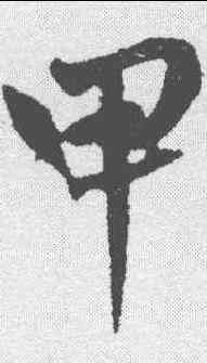 甲,張雨 ,書法字典