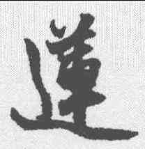 莲,張雨 ,書法字典