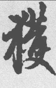 获,鮮于樞 ,書法字典