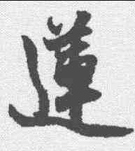 莲,張雨 ,書法字典